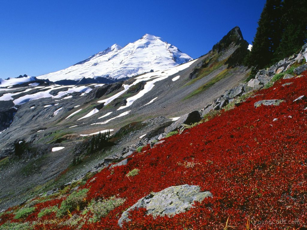 Mount Baker, North Cascades, Washington